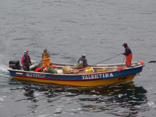 – Pescadores artesanales iniciaron paro nacional
