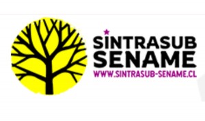 SINTRASUB